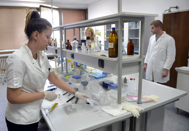 За шест месеци стигло 20 нових дрога у Србију